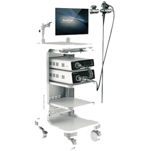 Sistema-de-endoscopia-HD-500